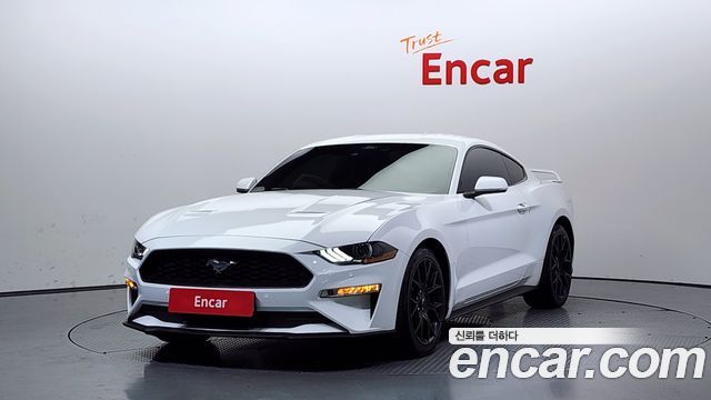 FORD | FORD Mustang | Mustang