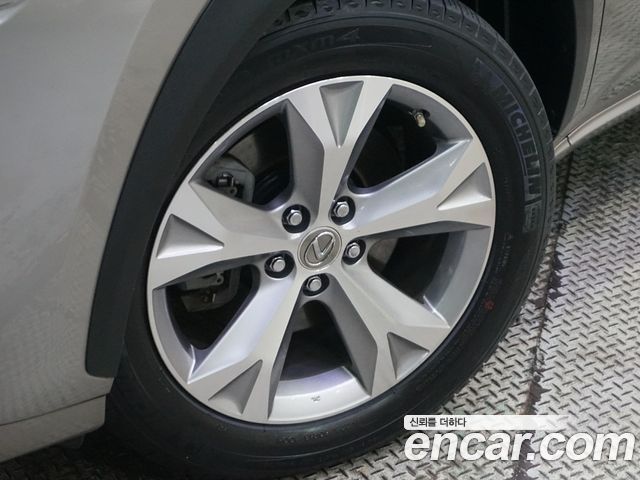 Photo 15