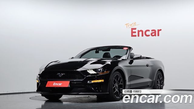 FORD | FORD Mustang | Mustang