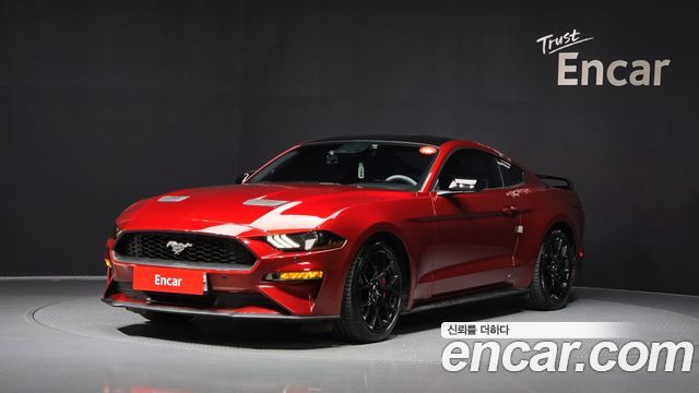 FORD | FORD Mustang | Mustang