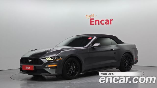 FORD | FORD Mustang | Mustang