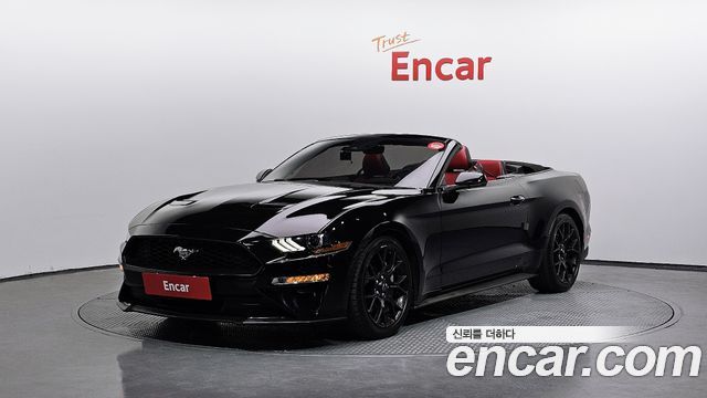 FORD | FORD Mustang | Mustang