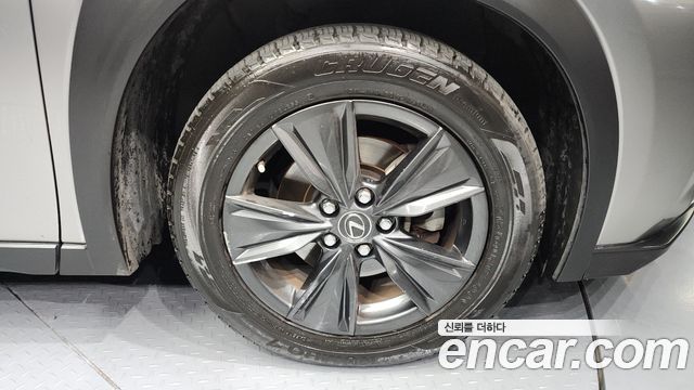Photo 5