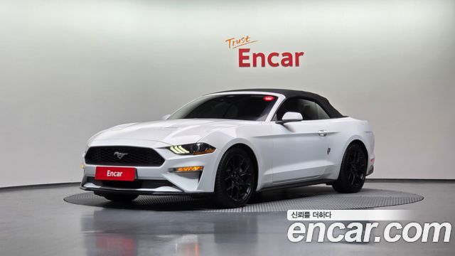 FORD | FORD Mustang | Mustang