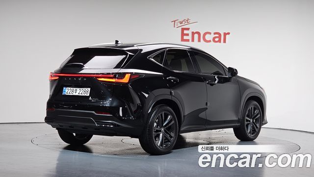 Lexus | Lexus NX350h 2Nd Generation | NX350h 2Nd Generation
