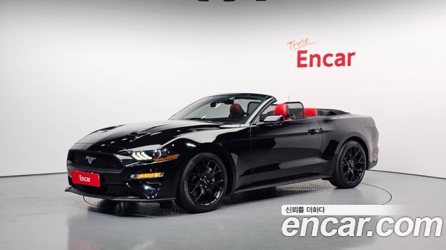 FORD | FORD Mustang | Mustang