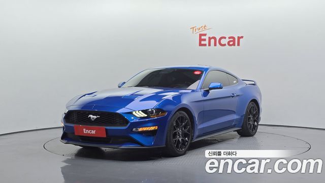 FORD | FORD Mustang | Mustang