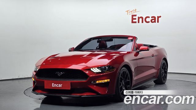 FORD | FORD Mustang | Mustang